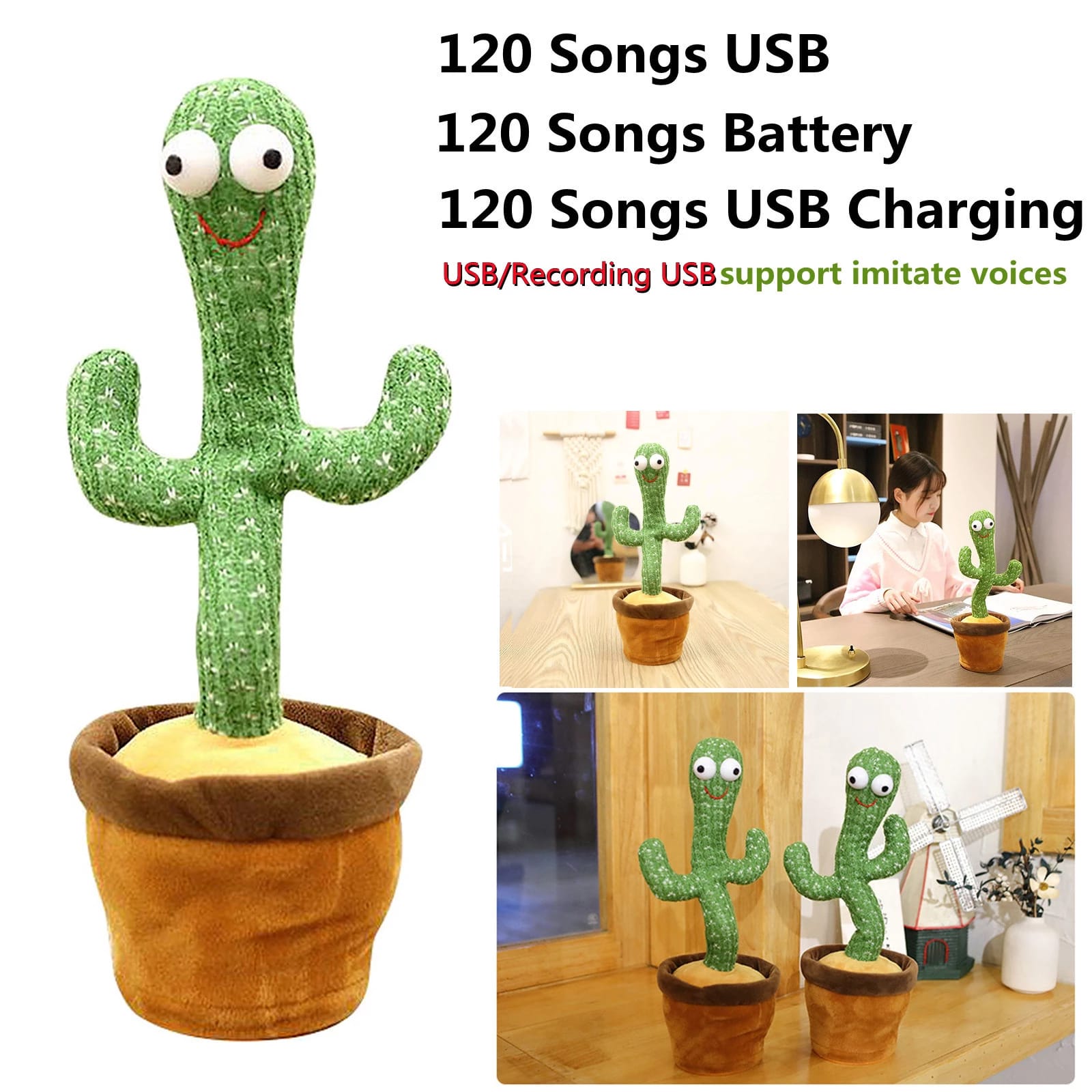 Dancing Cactus
