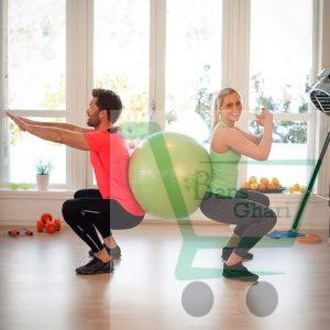 Gym Ball 65 cm Diameter (Pump Included)