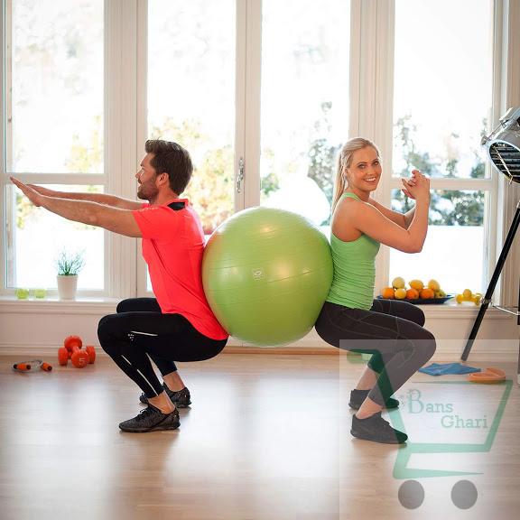 Gym Ball 65 cm Diameter (Pump Included)