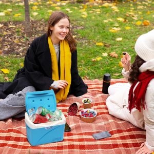 Ice Box Portable