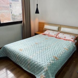 Premium Quality Summer Quilt
