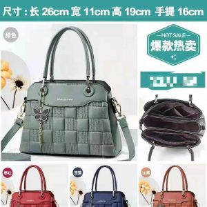 Ladies Hand Bag - 005