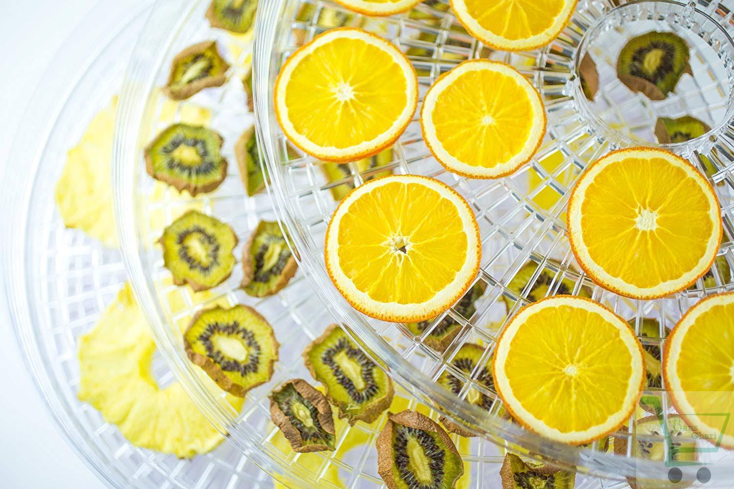 5 Layer Electric Sukuti Maker (Food Dehydrator) - Image 4