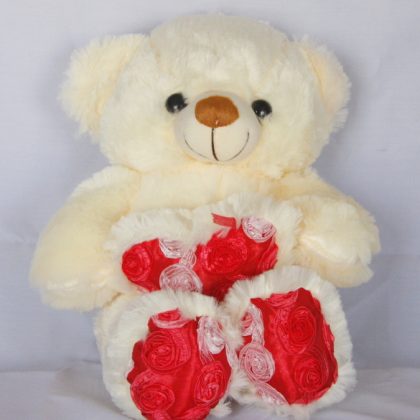 Teddy Bear with Red Heart