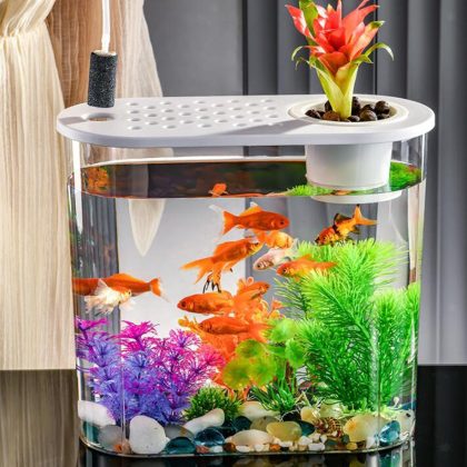 Acrylic Fish Aquarium for Home / Office